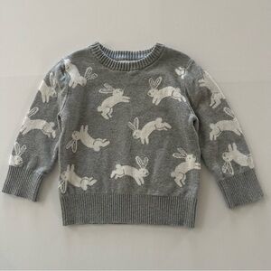 Cat & Jack 2T Toddler Boy Easter Bunny Gray Sweater Spring